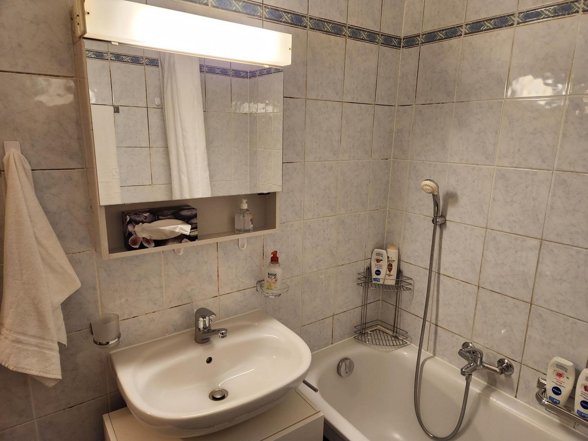 Room In Shared Apartment เจนีวา ภายนอก รูปภาพ